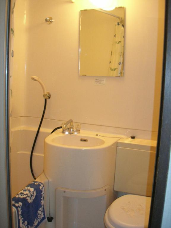 Hotel Weisser Hof Happei Hakuba Pokój zdjęcie